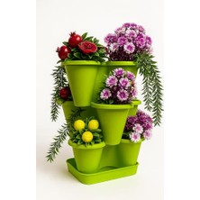 Arsimo 3 Katlı Şanslı Yonca Tasarımlı Dekoratif Saksı Seti, 26.5 x 26.5 Cm, Çiçek ve Bitki S