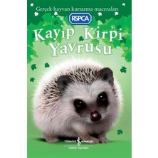 Zenwaya Store Kayıp Kirpi Yavrusu