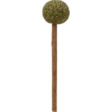 Novapazr Eastland Matatabi Catnip Toplu  Lolipop 9,5cm