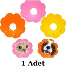 Nostaljik Lezzetler Kedi Yakalık Yumuşak Standart Boy Özel Teknofoam (3 Beden Ayarlanabilir)