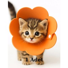 Nostaljik Lezzetler Yavru Kedi Yakalık Yumuşak Özel Teknofoam (3 Beden Ayarlanabilir)