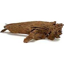 Mango Novapazr Mangrove Akvaryum Kütüğü Sm (35 Ad.)