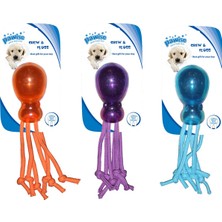 Novapazr Pawise Ahtapot Diş Ipi Köpek Oyuncağı 31 cm