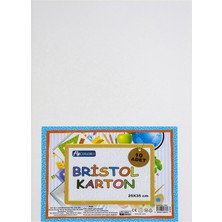 Fly Bristol Karton 25X35 10'lu Paket (4'li Paket)