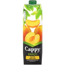 Cappy Kayısı Nektarı Karton Kutu 1 L (6'li Paket)