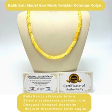 Yıldız Doğal Taş Sertifikalı Balık Sırtı Model Sarı Renk Yetişkin Kehribar Kolye 50- 55 cm 10 - 13 gr