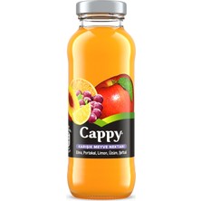 Cappy Karışık Meyve Nektarı Cam Şişe 250 ml (5'li Paket)