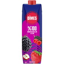 Dimes %100 Orman Meyveli 1 L (5'li Paket)