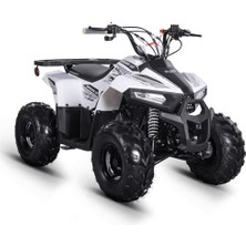 Skyjet Braves 110 Atv 2026 Model
