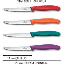 Victorinox Yeni Seri 4 Lü Set 11 cm Çelik Uçlu Tırtıklı Bıçak