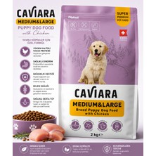 Caviara Medium & Large Puppy Tavuklu Orta ve Büyük Irk Yavru Köpek Maması 2 kg