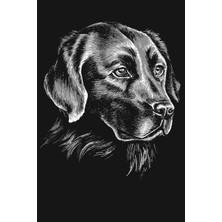 Rota Style Labrador Retriever Notebook: Blank Lined Journal, Softcover (6x9 Inches) With 120 Pages