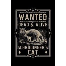 Rota Style Wanted Dead & Alive Schrodinger's Cat: A Journal, Notepad, Or Diary To Write Down Your Thoughts. -
