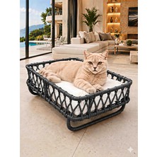 Tasaryum Kedi & Köpek Yatağı El Işçiliği