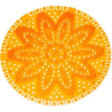 Rulopak Mini Koku Giderici (Mango) 4'lü Paket