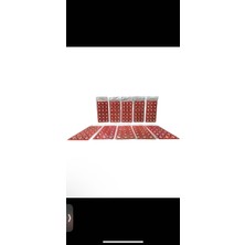 10 Lu Mantar Kapsülü