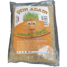 Doğuş Çim Adam Deney Seti - Çoraplı Çim Yetiştirme Seti Göz Burun Ağız Aksesuar Dahil