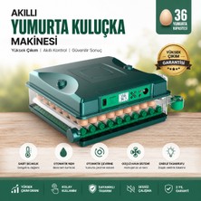 PowerS-Pro 36 Yumurta Tam Otomatik Akıllı Kuluçka Makinesi Dijital Isı ve Nem Kontrollü Civciv Çıkım Makinesi