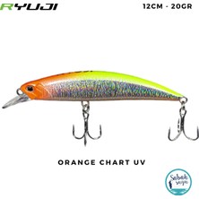 Ryuji Real Jerk 95S 9.5cm 16GR Orange Chart Uv Maket Balık