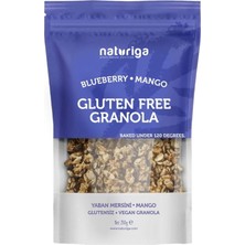 Naturiga Glutensiz Granola (Yaban Mersini, Mango)