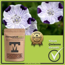 Nemophila Maculata Çiçeği Tohumu (Beş Nokta) - Balkon Saksı ve Bahçe Için Sarkıcı Yer Örtücü Tohumu (Yüksek Çimlenme)(10 Adet)