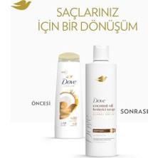 Şampuan Coconut Oil Besleyici Terapi 375 ml