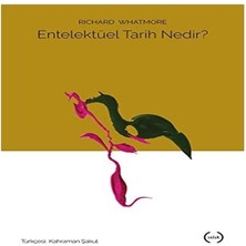 Entelektüel Tarih Nedir?