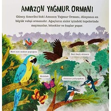 Çevremizdeki Dünya - Orman