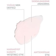 The Purest Solutions Hassas ve Kuru Ciltler Için Nem ve Antioksidan Içerikli Temizleyici Balm 85 gr
