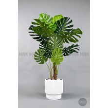 Biçiçek Yapay Monstera Agacı 160 cm Beyaz Vega Saksıda