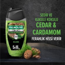 Peri Store Men Duş Jeli 250 ml Cedarwood