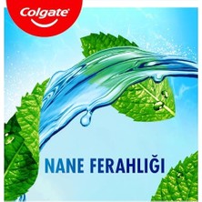 Zg Store Plax Nane Ferahlığı Plağa Karşı Ağız Bakım Suyu 500 ml