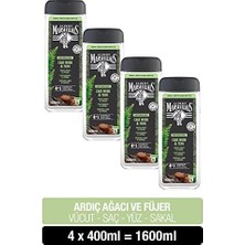 Zg Store Duş Jeli Men Serisi Ardıç Ağacı ve Füjer (4 x 400 Ml) Çok Renkli
