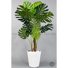 Biçiçek Yapay Monstera Agacı 160 cm Beyaz Luna Saksıda