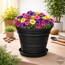 Melkan Home Papatya Desenli Dekoratif Siyah Saksı 7,3 Litre Dayanıklı Çiçek Saksısı Balkon Bahçe Salon Için