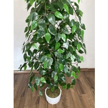 Biçiçek Yapay Monstera Agacı 200 cm Siyah Lilyum Saksıda