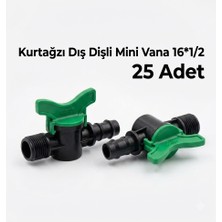 Bahyap Kurtağzı Dış Dişli Mini Vana 16X1/2 (25 Adet)