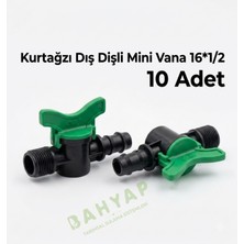 Bahyap Kurtağzı Dış Dişli Mini Vana 16X1/2 (10 Adet)