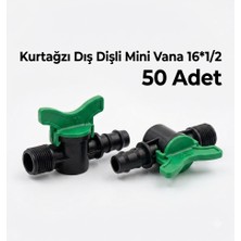 Bahyap Kurtağzı Dış Dişli Mini Vana 16X1/2 (50 Adet)