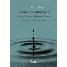 Belirtilmemiş Görünmez Mürekkep: Yazmayı Okumak / Okumayı Yazmak