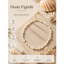 Adivo Store Deniz Yıldızı Kabuk Kolye Gold Renk | Yazlık Deniz Kabuğu Choker Kolye | Bohem Plaj Kolyesi Kadın