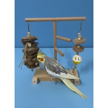 Ahşap Kuş Oyun Alanı | Muhabbet Kuşu & Sultan Papağanı | Kemirme Oyuncaklı Zeka Oyuncaklı Stand 25X22 cm