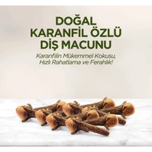 AyrStore Doğal Diş Macunu 90 gr Karanfil