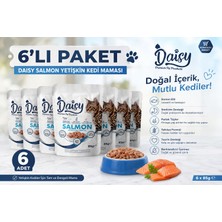 Daisy Somonlu Tahılsız Yaş Kedi Maması 6'lı Ekonomik Paket