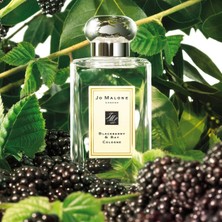 Jo Malone Blackberry & Bay S.editionedp 100ML