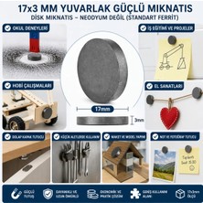 Premini Güçlü 17X3 mm Yuvarlak Mıknatıs Disk, Dayanıklı ve Çok Amaçlı Kullanım