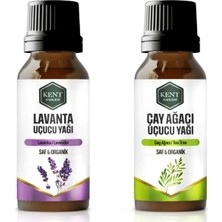 Kent Bahçesi 2'li Uçucu Yağ Seti - Lavanta Çay Ağacı