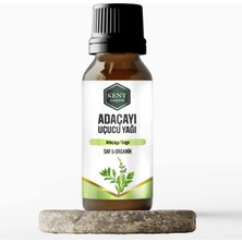 Kent Bahçesi 2'li Uçucu Yağ Seti Çay Ağacı Adaçayı Tea Tree Sage - Ortam Kokusu