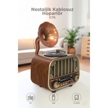 Başkenttekno Bluetooh Hoparlör Nostaljik Radyo Aux USB Tf Destekli Speaker D76 Ahşap