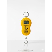 Premini Dijital Hassas El Terazisi 50 kg Kapasiteli Işıklı LCD Ekran, Valiz ve Balıkçı Kantarı